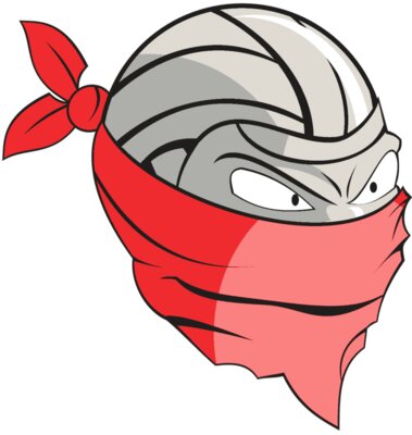 VOLLEYBALL BANDIT RQC