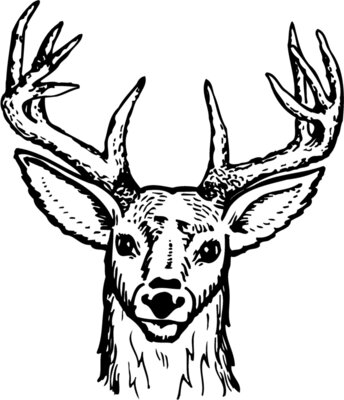 DEER012